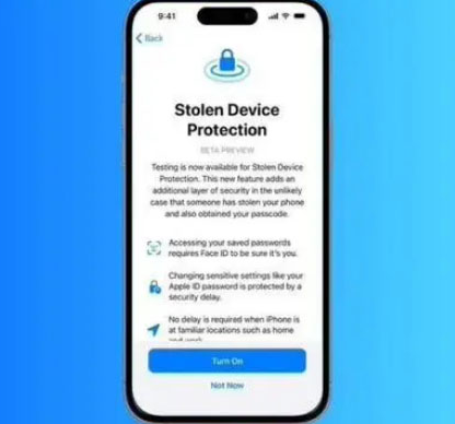 南川苹果授权维修店分享被盗设备保护功能开启方法 