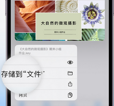 南川apple维修中心分享iPhone文件应用中存储和找到下载文件