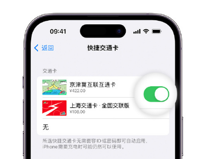 南川apple维修点分享iPhone上更换Apple Pay快捷交通卡手绘卡面 