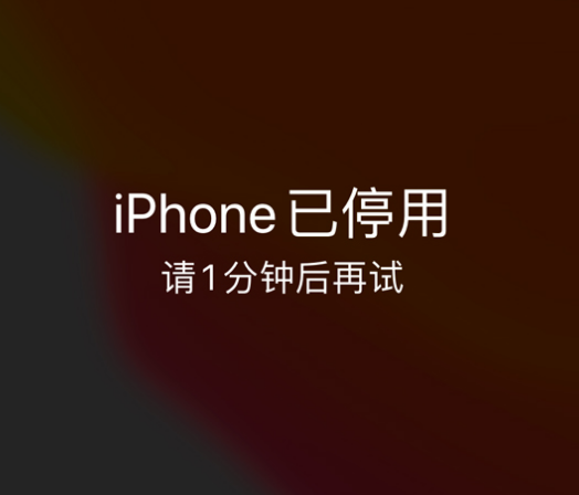 南川苹果手机维修分享:iPhone 显示“不可用”或“已停用”怎么办？还能保留数据吗？ 