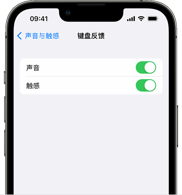 南川苹果14维修店分享如何在 iPhone 14 机型中使用触感键盘 