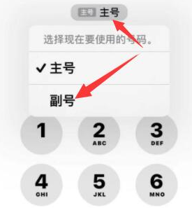 南川苹果14维修店分享iPhone 14 Pro Max使用副卡打电话的方法 