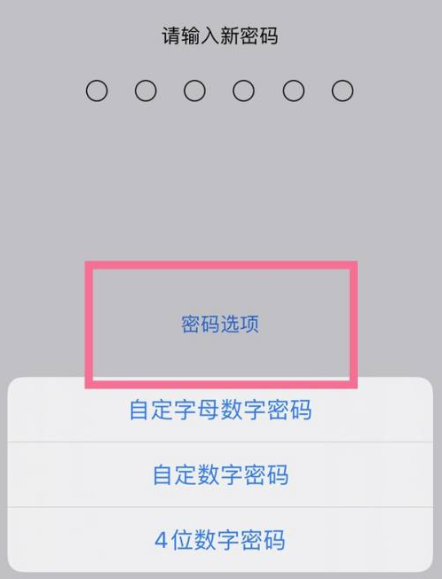 南川苹果14维修分享iPhone 14plus设置密码的方法 