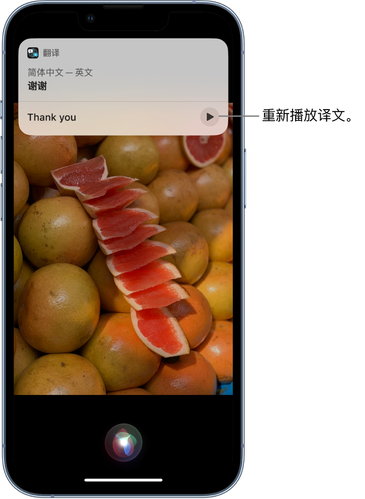 南川苹果14维修分享 iPhone 14 机型中使用 Siri：了解 Siri 能帮你做什么 