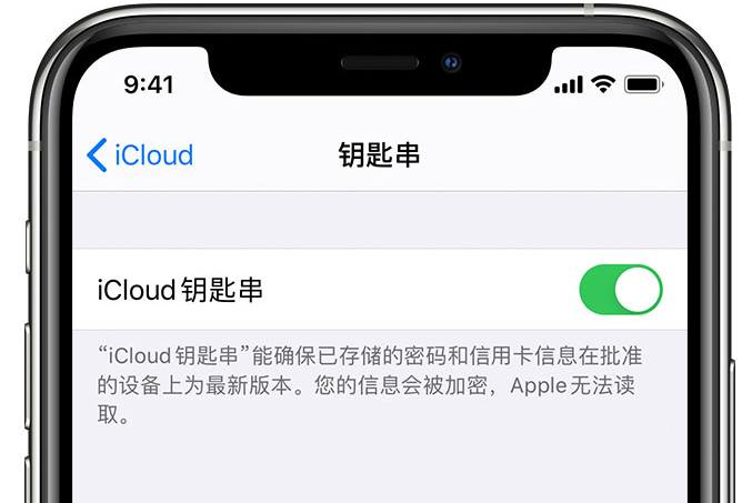 南川苹果手机维修分享在 iPhone 上开启 iCloud 钥匙串之后会储存哪些信息 