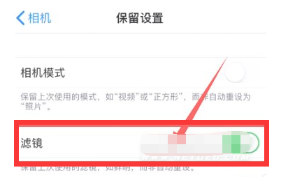 南川苹果13维修分享iPhone13拍照有绿点是怎么回事 