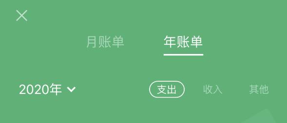 南川苹果手机维修分享如何在 iPhone 上查看支付宝和微信年支出账单 